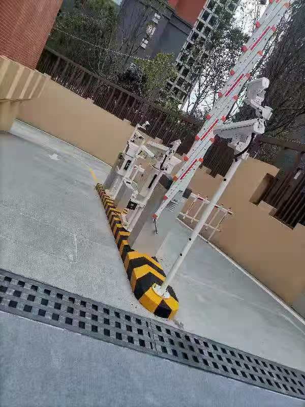 案例图片